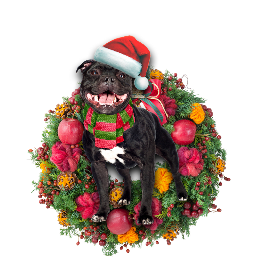Godmerch- Ornament- Staffordshire Bull Terrier Christmas Ornament, Happy Christmas Ornament, Car Ornament