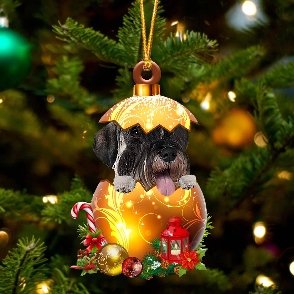 Standard Schnauzer In Golden Egg Christmas Ornament