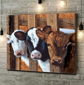 Gorgeous Cows Canvas Wall Art, Farmhouse Wall Decor Visual Art