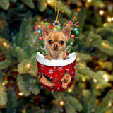 TAN Chihuahua In Snow Pocket Christmas Ornament Godmerch