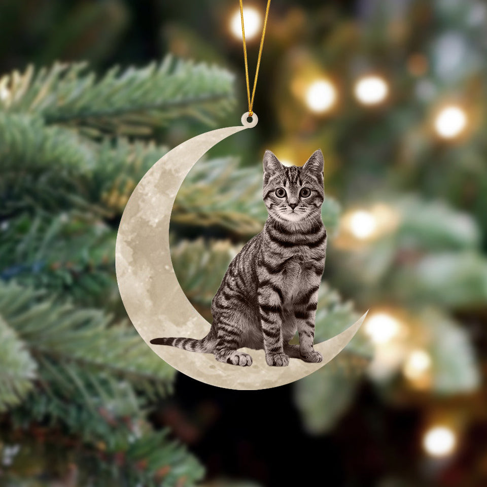 Tabby Cat Sits On The Moon Hanging Ornament Cat Christmas Acrylic Ornament