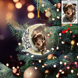 Personalized Gift For Pet Lovers I Love You To The Moon And Back Ornament