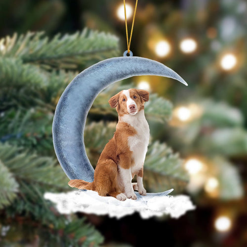 Godmerch- Ornament- Toller Sits On The Moon Hanging Ornament Dog Ornament, Car Ornament, Christmas Ornament