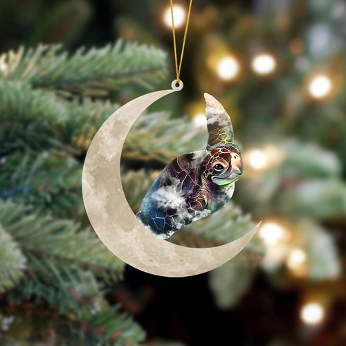 Turtle Sits On The Moon Hanging Ornament, Animal Christmas Ornaments