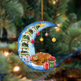 Ornament- Vizsla-Sleep On The Moon Christmas Two Sided Ornament, Happy Christmas Ornament, Car Ornament