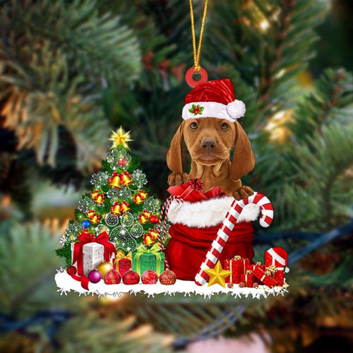 Godmerch- Ornament- Vizsla Gift Bag Merry Christmas Ornament Dog Ornament, Car Ornament, Christmas Ornament