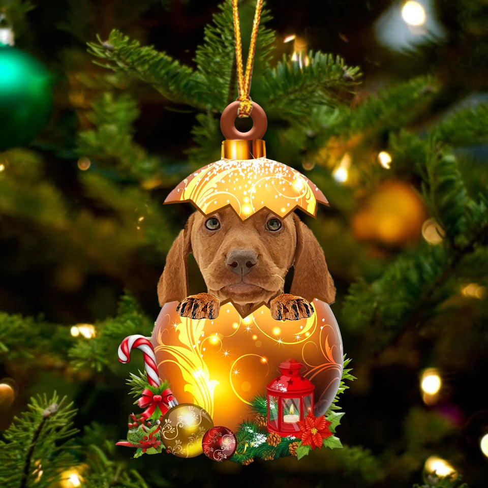 Vizsla In Golden Egg Christmas Ornament