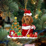 Godmerch- Ornament- Vizsla Gift Bag Merry Christmas Ornament Dog Ornament, Car Ornament, Christmas Ornament