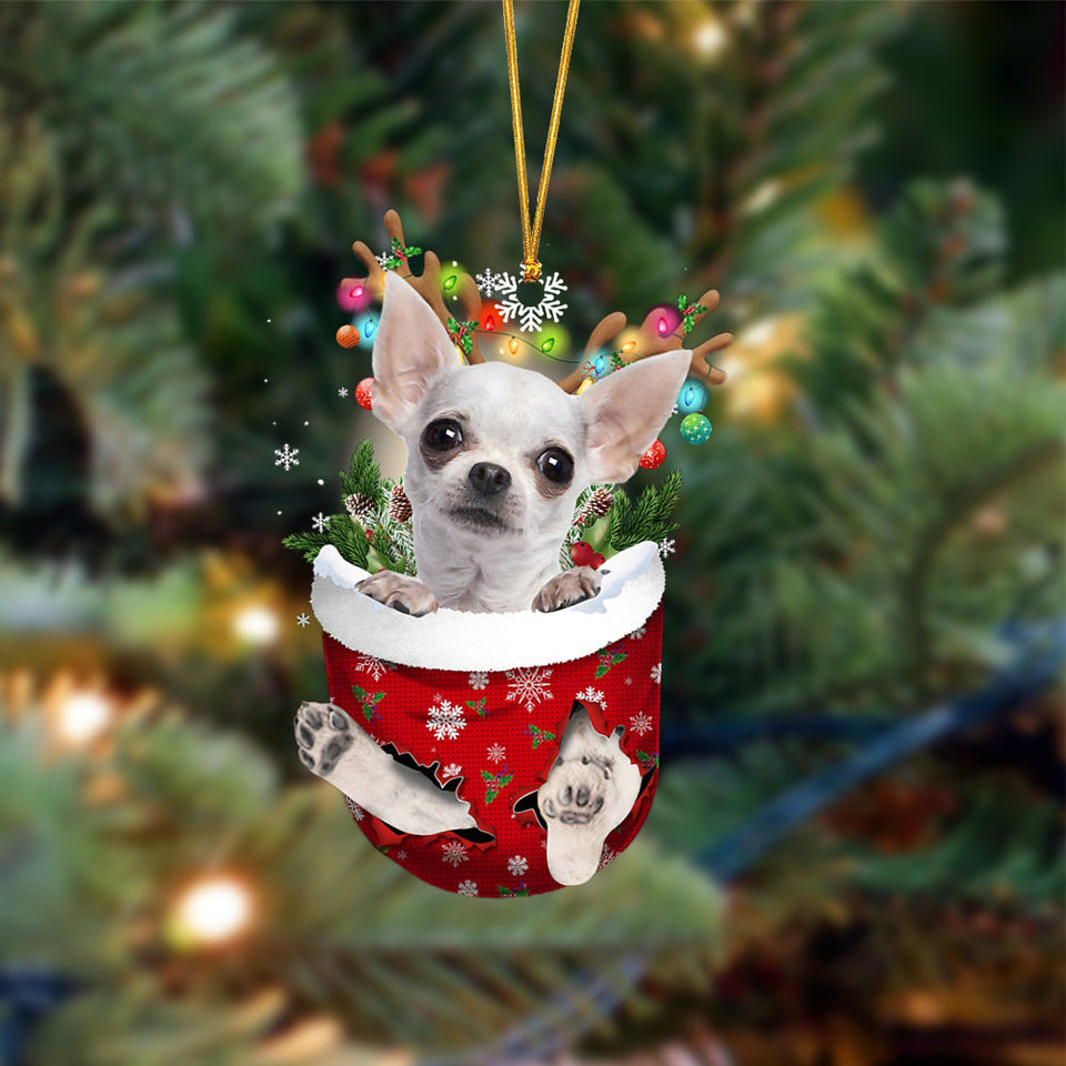 Ornament- WHITE Chihuahua-In Christmas Pocket Two Sides Ornament, Happy Christmas Ornament, Car Ornament