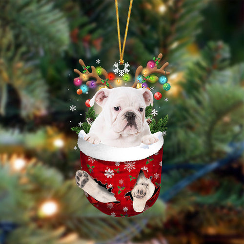 White English Bulldog-In Christmas Pocket Two Sides Ornament, Christmas Dog Hanging Ornament