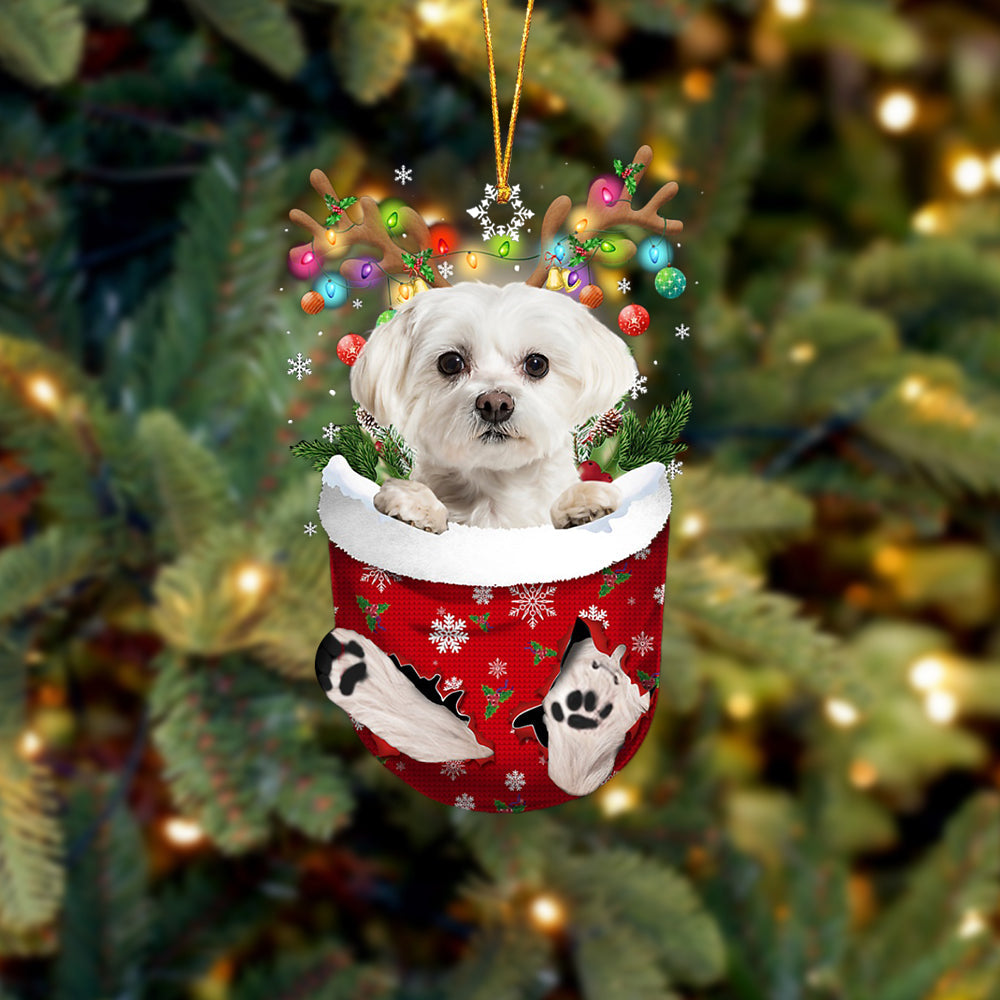 WHITE Maltese In Snow Pocket Christmas Ornament Godmerch