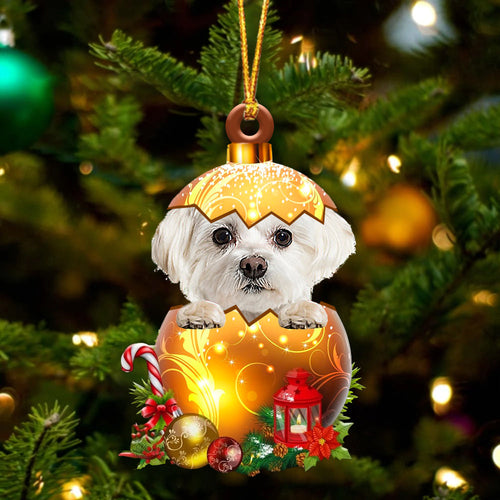 WHITE Maltese In Golden Egg Christmas Ornament