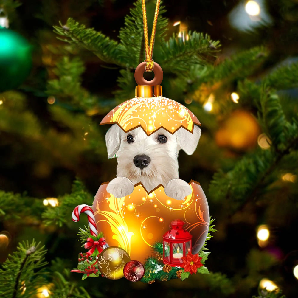 WHITE Miniature Schnauzer In Golden Egg Christmas Ornament