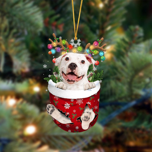 Ornament- WHITE Pitbulll-In Christmas Pocket Two Sides Ornament, Happy Christmas Ornament, Car Ornament