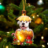 WHITE Pitbull In Golden Egg Christmas Ornament