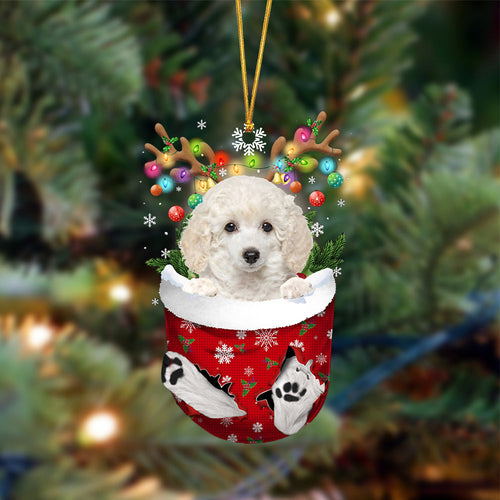 White Toy Poodle-In Christmas Pocket Two Sides Ornament, Christmas Dog Hanging Ornament