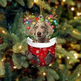 Weimaraner 2 In Snow Pocket Christmas Ornament Flat Acrylic Dog Ornament