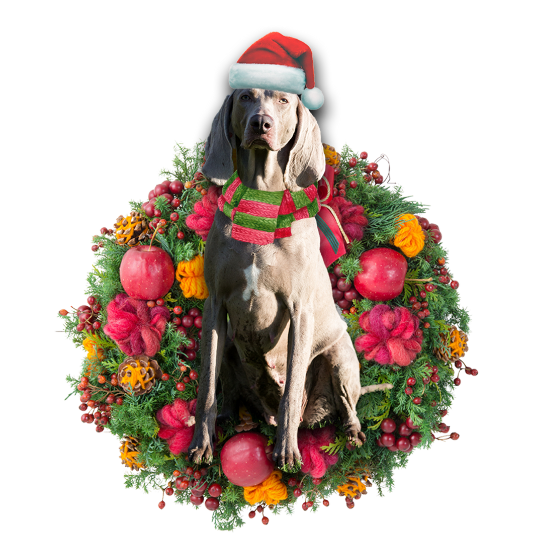 Godmerch- Ornament- Weimaraner Christmas Ornament, Happy Christmas Ornament, Car Ornament