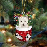 West Highland White Terrier-In Christmas Pocket Two Sides Ornament, Christmas Ornament, Car Ornament