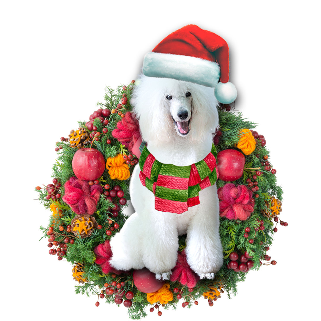Godmerch- Ornament- White Poodle Christmas Ornament, Happy Christmas Ornament, Car Ornament