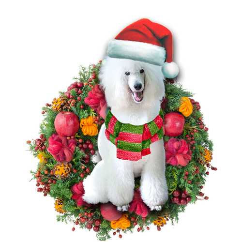 Godmerch- Ornament- White Poodle Christmas Ornament, Happy Christmas Ornament, Car Ornament