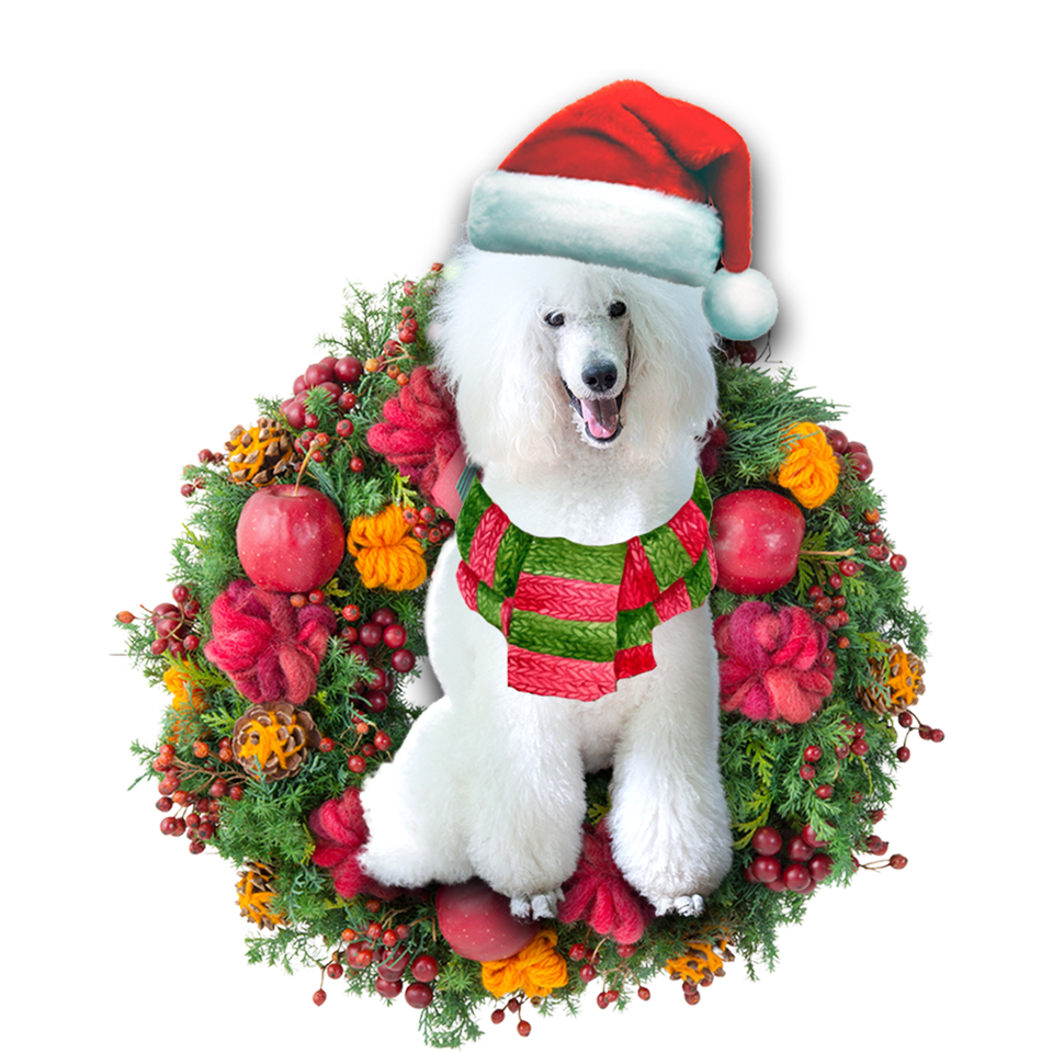Godmerch- Ornament- White Poodle Christmas Ornament, Happy Christmas Ornament, Car Ornament