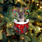 Xoloitzcuintli In Snow Pocket Christmas Ornament Flat Acrylic Dog Ornament