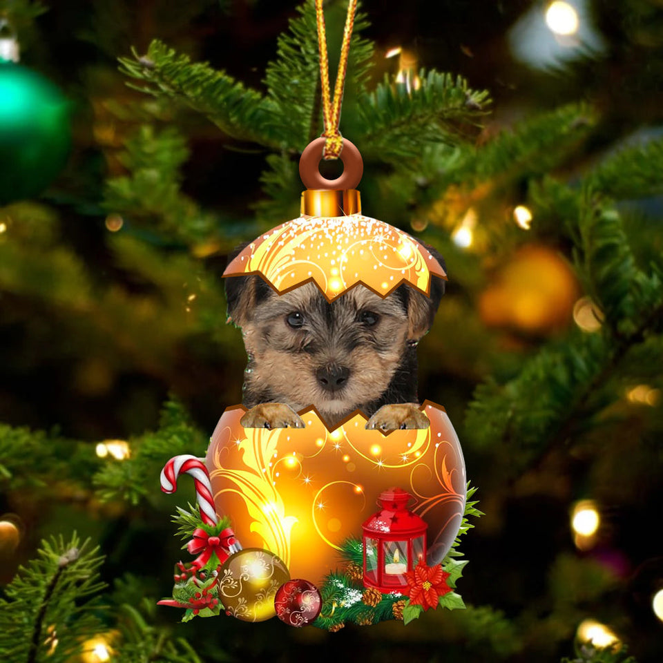 Yorkipoo In Golden Egg Christmas Ornament