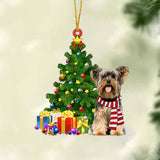 Ornament- Yorkshire Terrier 1-Christmas Star Hanging Ornament, Happy Christmas Ornament, Car Ornament