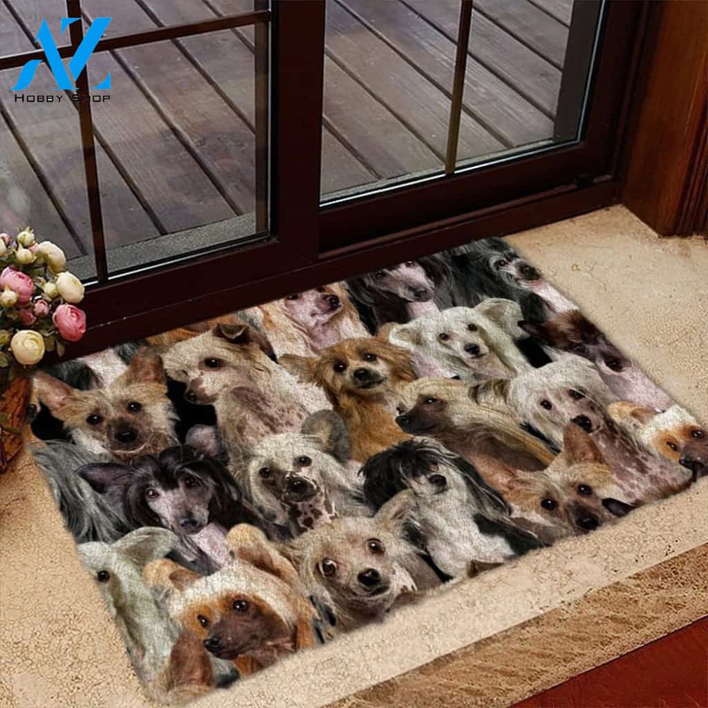 A Bunch Of Chinese Cresteds Doormat, Dog Welcome Mat, Funny Welcome Mats for Dog Lovers