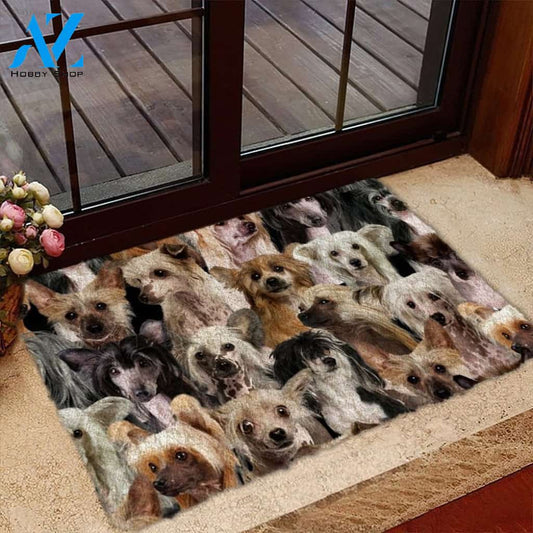 A Bunch Of Chinese Cresteds Doormat, Dog Welcome Mat, Funny Welcome Mats for Dog Lovers