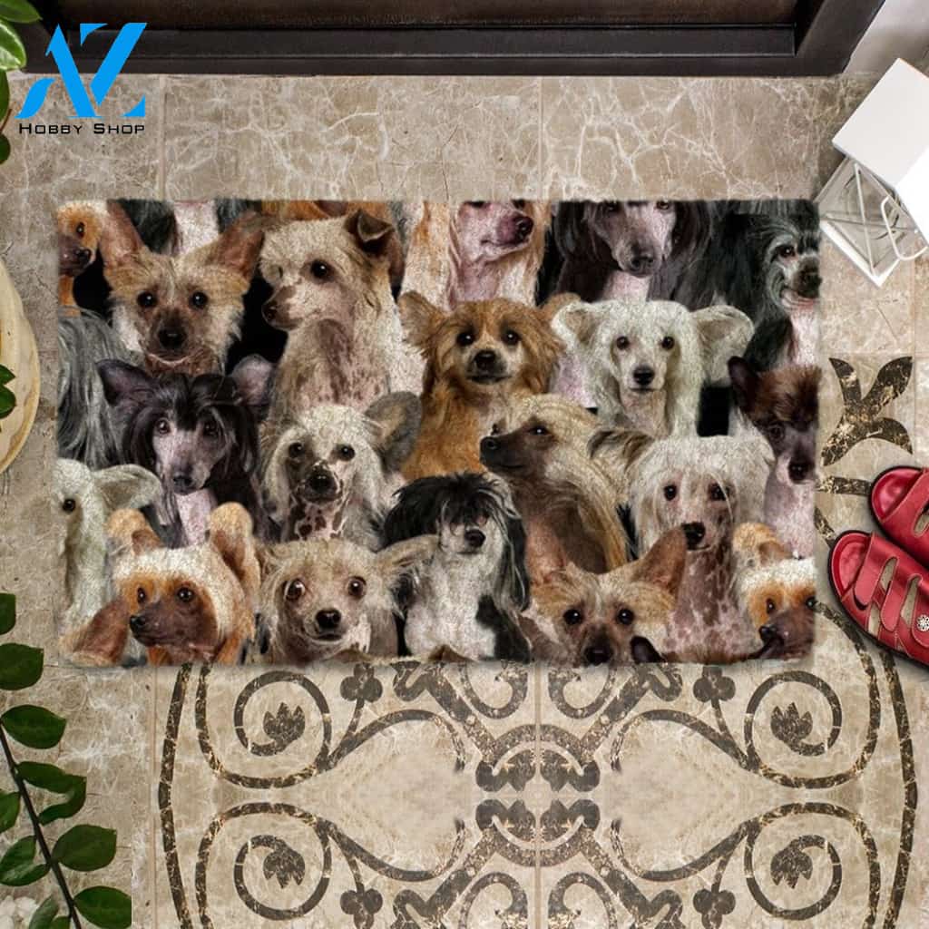 A Bunch Of Chinese Cresteds Doormat, Dog Welcome Mat, Funny Welcome Mats for Dog Lovers