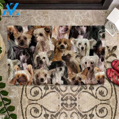 A Bunch Of Chinese Cresteds Doormat, Dog Welcome Mat, Funny Welcome Mats for Dog Lovers