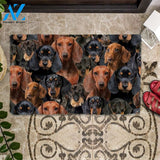 A Bunch Of Dachshunds Doormat, Dog Welcome Mat, Funny Welcome Mats for Dog Lovers