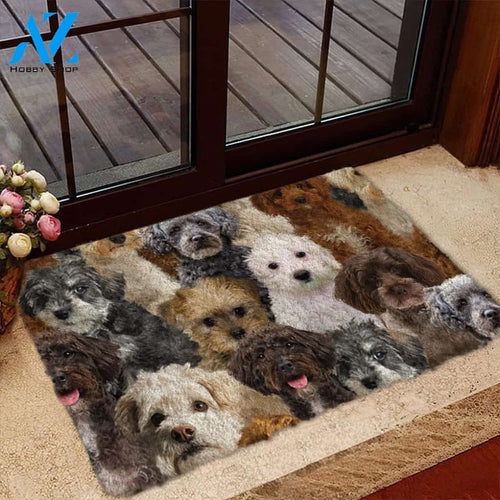 A Bunch Of Schnoodles Doormat, Dog Welcome Mat, Funny Welcome Mats for Dog Lovers