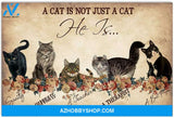 A Cat Is Not Just A Cat He Is Poster Gifts For Men Women On Birthday Xmas Art Print