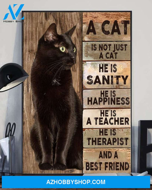A Cat Is Not Just A Cat He Is Sanity Happiness Teacher Therapist Canvas Wall Art, Wall Decor Visual Art Unique Gifts
