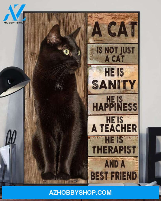 A Cat Is Not Just A Cat He Is Sanity Happiness Teacher Therapist Canvas Wall Art, Wall Decor Visual Art Unique Gifts