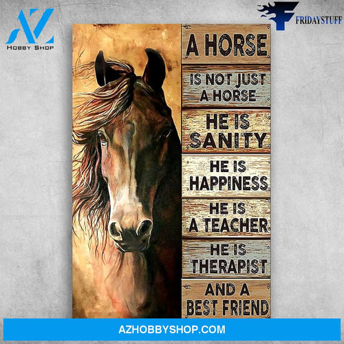 A Horse Is Not Just A Horse He Is Sanity And A Best Friend Present For Women Men On Birthday Xmas Art wall