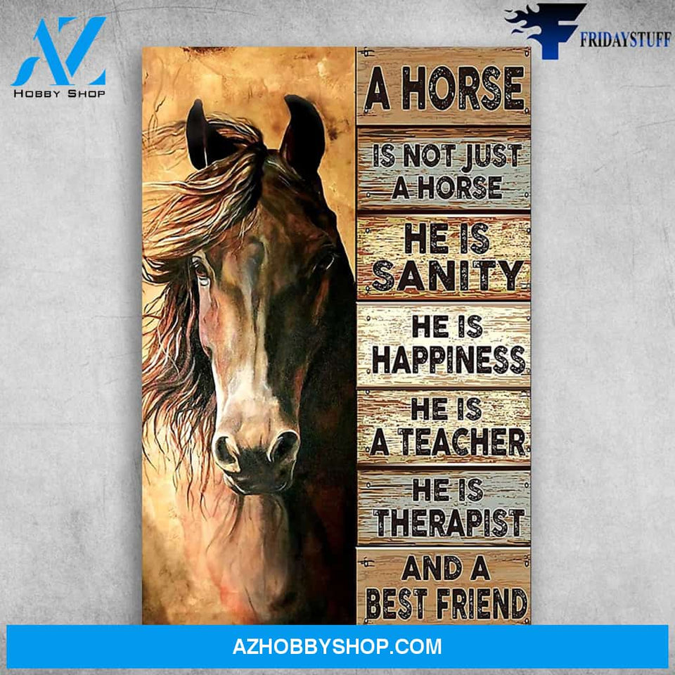 A Horse Is Not Just A Horse He Is Sanity And A Best Friend Present For Women Men On Birthday Xmas Art wall