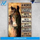 A Horse Is Not Just A Horse He Is Sanity And A Best Friend Present For Women Men On Birthday Xmas Art wall