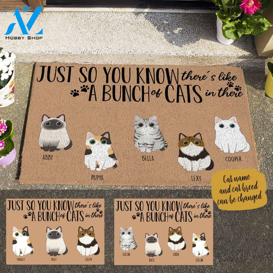 Adore Cat, Just So You Know There's Like A Bunch Of Cat In There, Personalized Doormat TV06