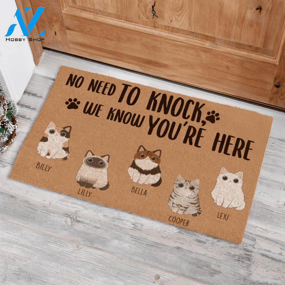 Adore Cat, No Need To Knock We Know You Are Here Personalized Doormat TV06