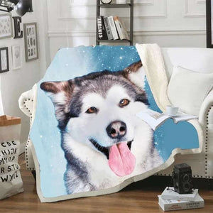 Alaska Malamute CLM3110019S Blanket