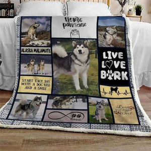 Alaskan Malamute Pawsome CL10100010MDF Blanket