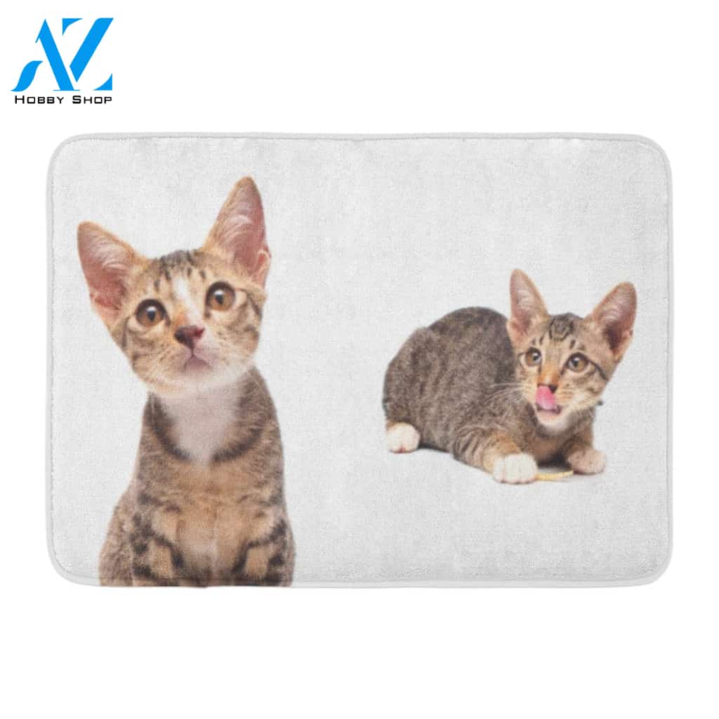 Animals Small Gray Kitten White Cat Cut Rug Doormat Welcome Mat House Warming Gift Home Decor Gift for Cat Lovers Funny Doormat Gift Idea