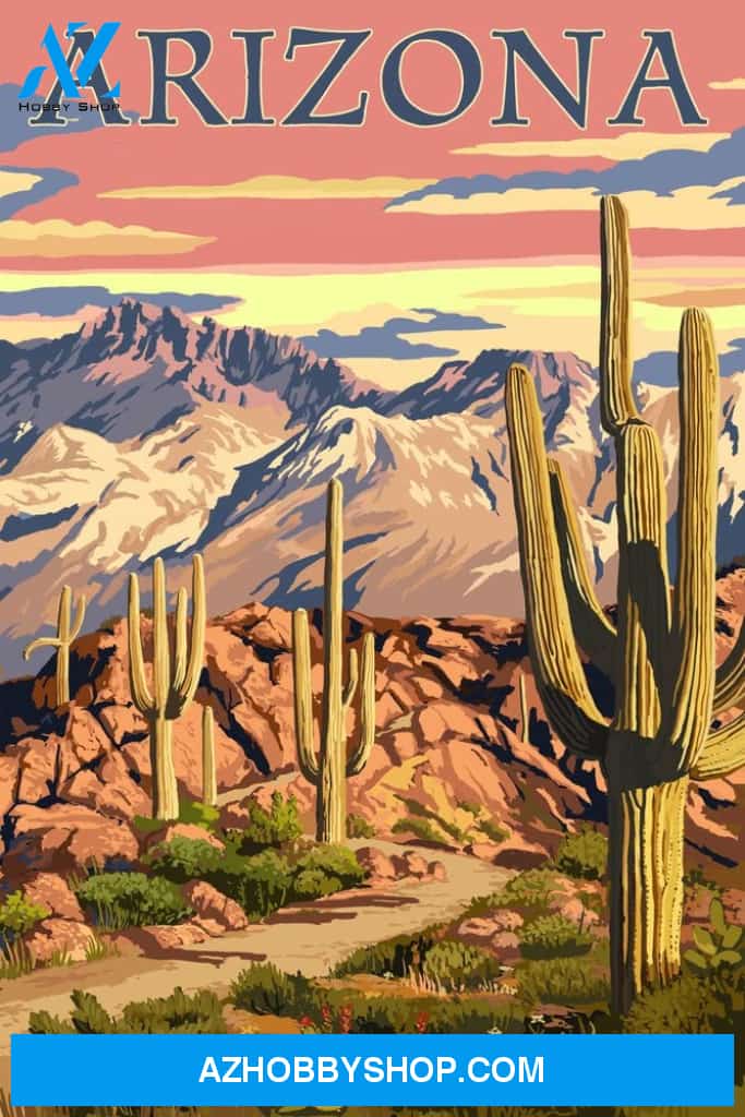 Arizona Desert Cactus Trail Scene At Sunset