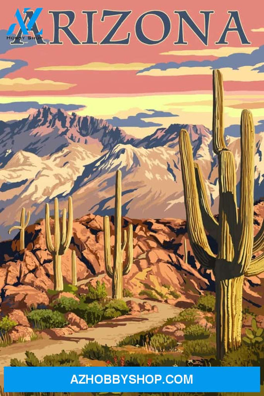 Arizona Desert Cactus Trail Scene At Sunset