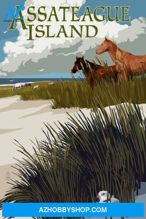 Assateague Island Maryland Horses And Dunes