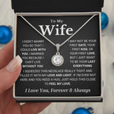 Wife Soulmate Necklace - I Can't Live Without You - Eternal Hope Necklace, Necklace for Valentine's Day, Gift for Wife